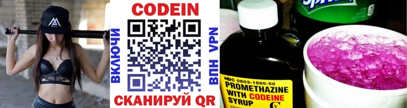 Codein напиток Lean (лин)  купить  сайты  Новокубанск 