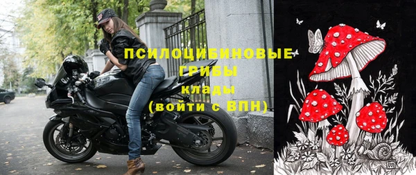 прущая мука Алзамай