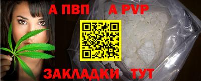 спиды Донской