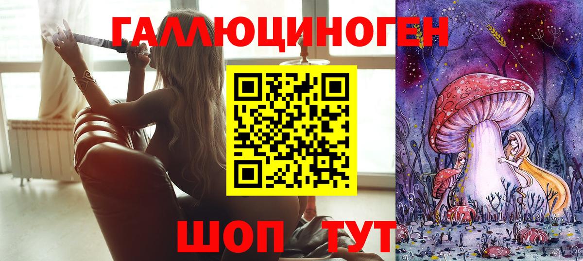 сколько стоит  Вход с VPN  Псилоцибиновые грибы Magic Shrooms  Новокубанск  Псилоцибиновые грибы прущие грибы 