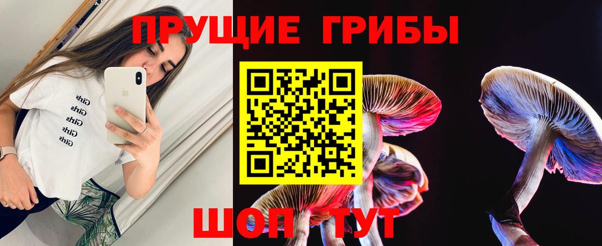 Псилоцибиновые грибы MAGIC MUSHROOMS Новокубанск